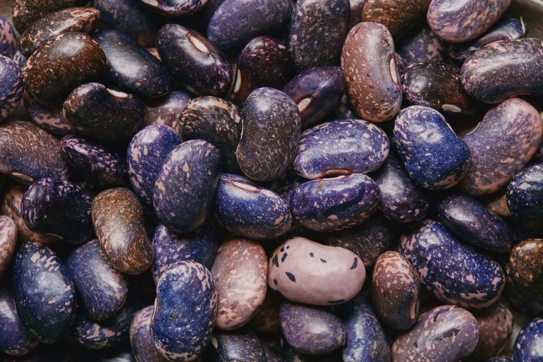 Hülsenfrüchte: Bohnen gibt es auch in blau-lila